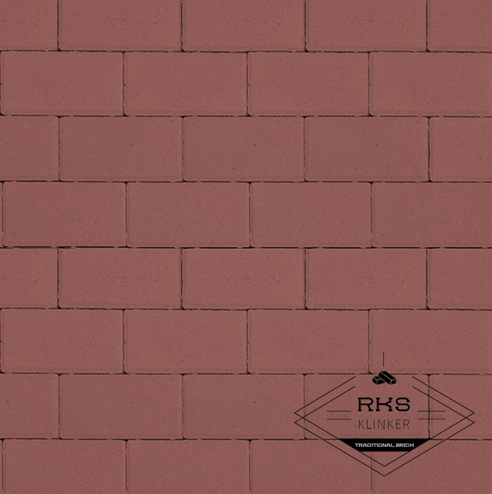 Плитка тротуарная Прямоугольник 1.П.6, Красный, 100х200х60 мм в Липецке